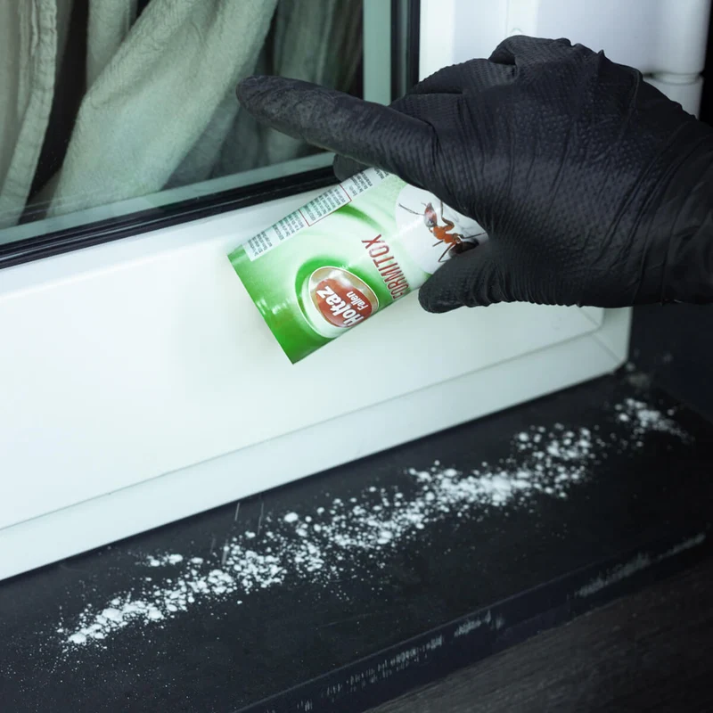 FORMITOX Mittel gegen Ameisen in Pulverform 100 g