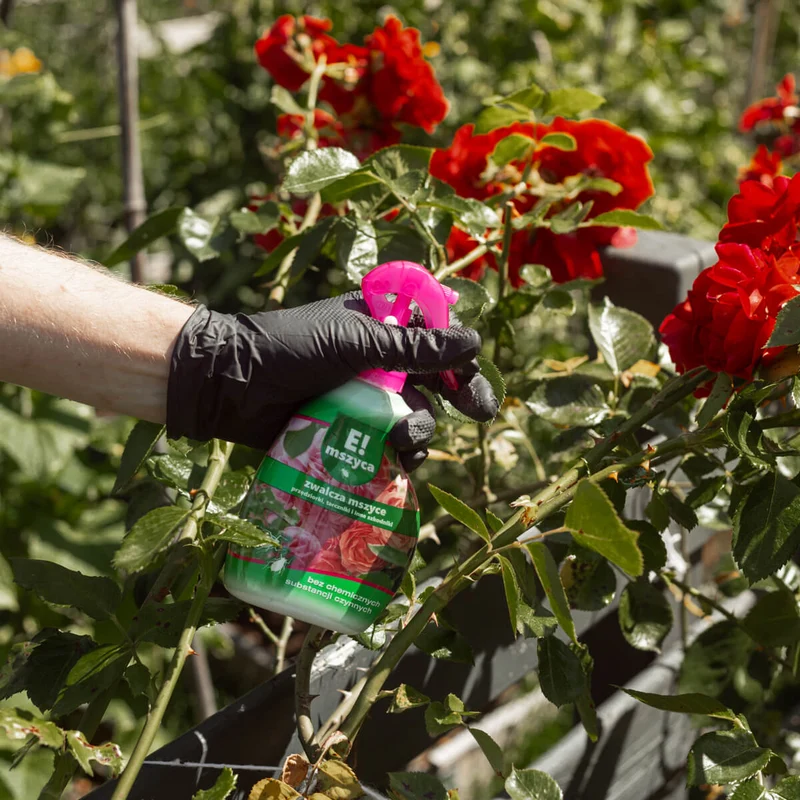 E! Mittel gegen Blattläuse, Schildläuse, Spinnmilben und Raupen Sprühflasche 250ml