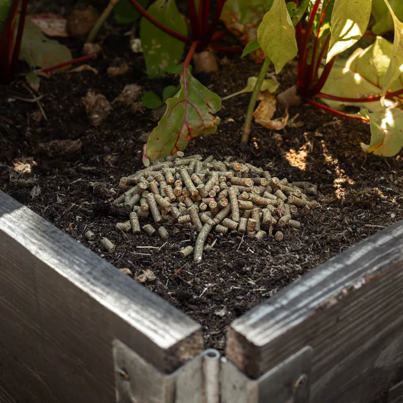 Soil Granulat zur Bekämpfung von Bodenschädlingen: Engerlinge, Drahtwürmer und Dickmaulrüssler
