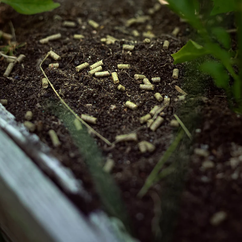 Soil Granulat zur Bekämpfung von Bodenschädlingen: Engerlinge, Drahtwürmer und Dickmaulrüssler