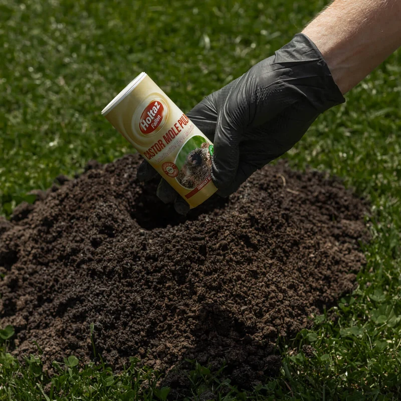 Castor Mole Pulpa Fernhaltemittel gegen Maulwürfe
