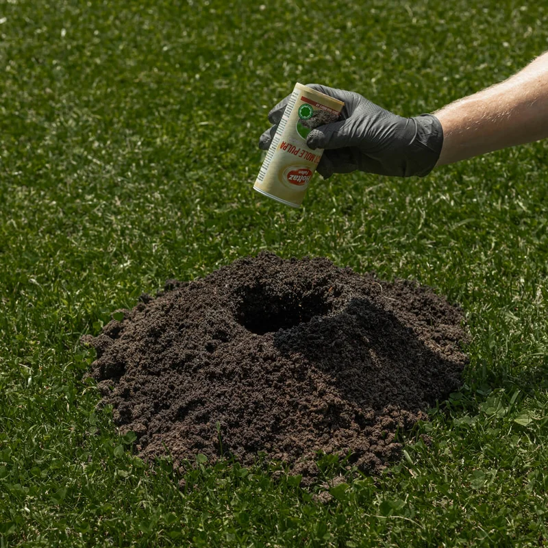 Castor Mole Pulpa Fernhaltemittel gegen Maulwürfe