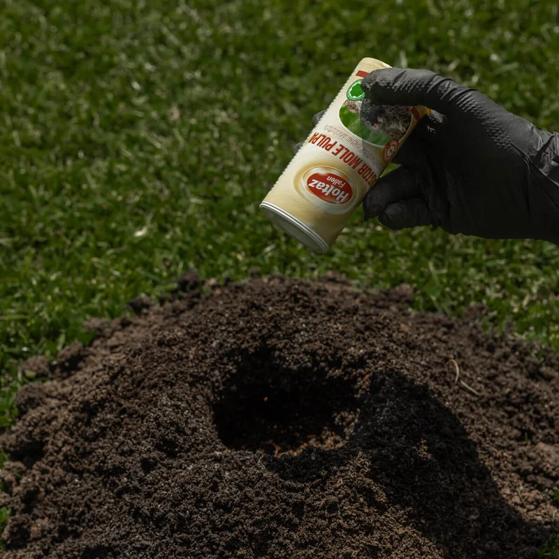 Castor Mole Pulpa Fernhaltemittel gegen Maulwürfe