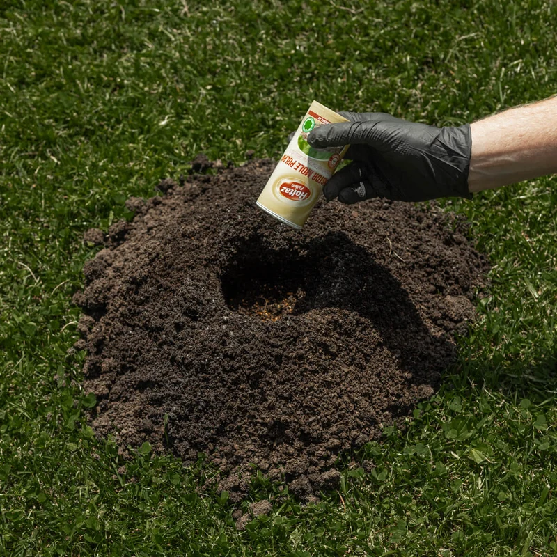 Castor Mole Pulpa Fernhaltemittel gegen Maulwürfe