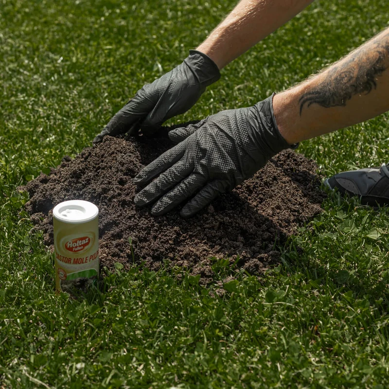Castor Mole Pulpa Fernhaltemittel gegen Maulwürfe
