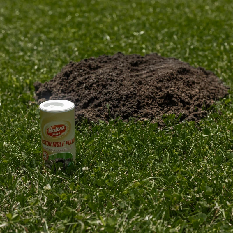 Castor Mole Pulpa Fernhaltemittel gegen Maulwürfe