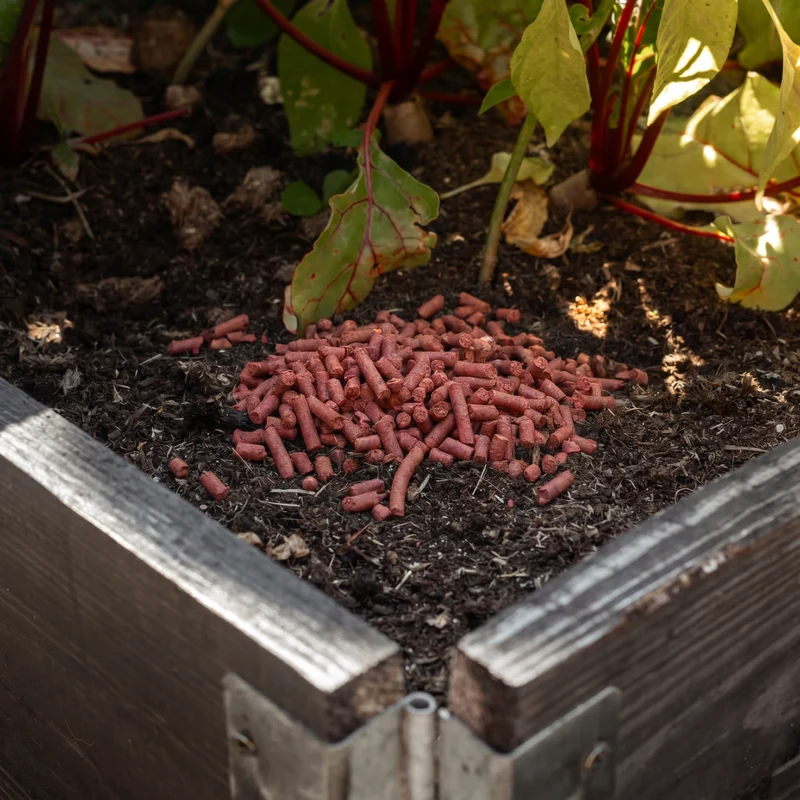 HexGuard - Soil Granulat zur Bekämpfung von Bodenschädlingen: Engerlinge, Drahtwürmer und Dickmaulrüssler
