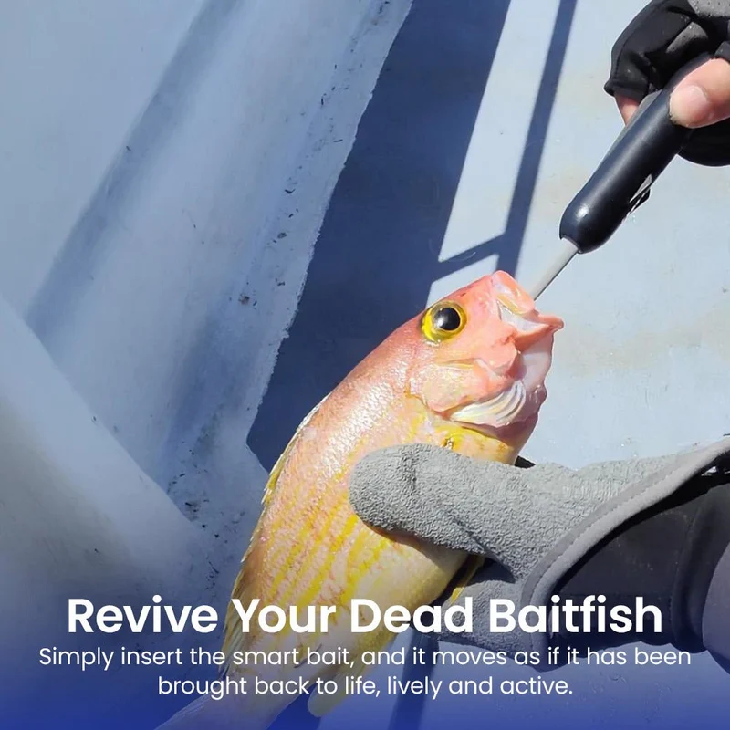 Kanama Kit de vente tout-en-un Smart Bait
