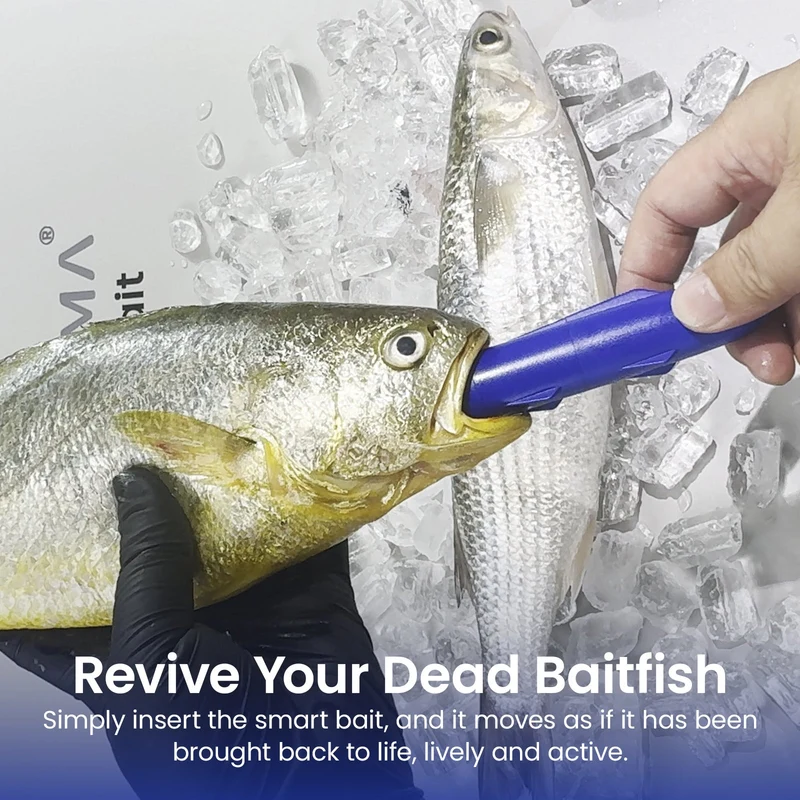 Kanama Kit tout-en-un Smart Bait