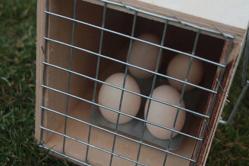 ECO Lebendfalle Kastenfalle gegen Marder, Ratten, Füchse und Waschbären