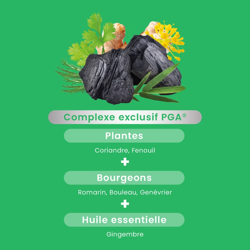 Complément alimentaire Gaz et Ballonnements Bio - 30 gélules