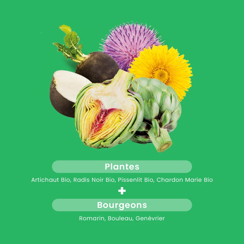 Bien-Être du Foie Bio - 30 gélules