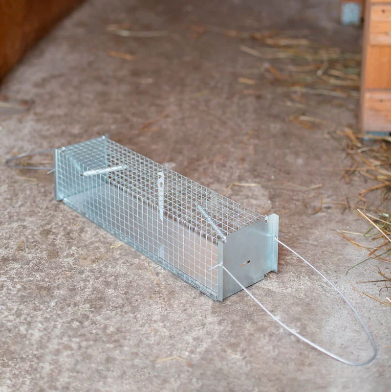 Rat - Lebendfalle Drahtfalle gegen Marder, Füchse, Katzen und Hunde