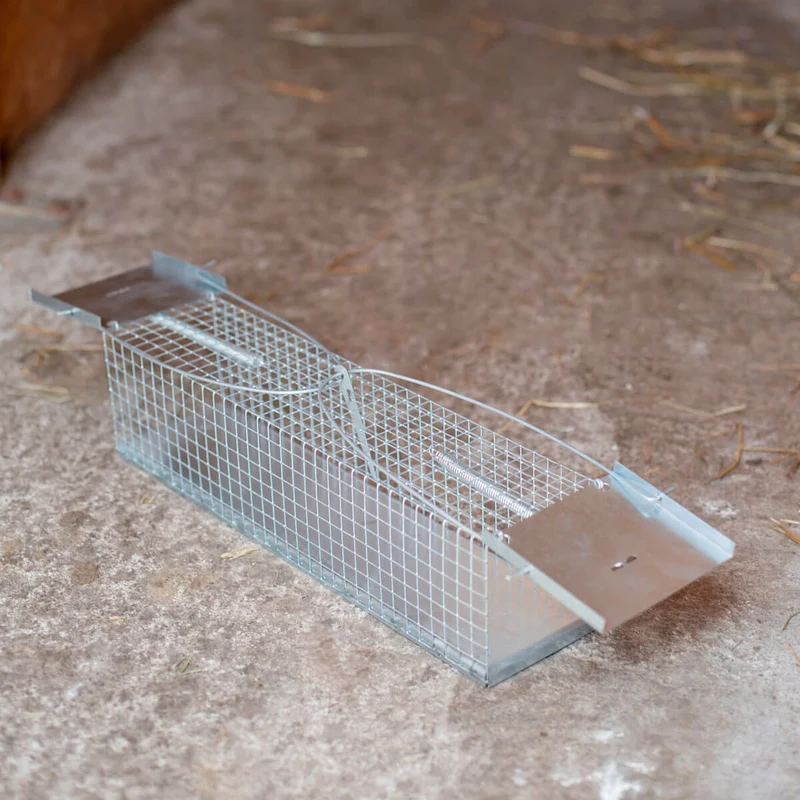 Rat - Lebendfalle Drahtfalle gegen Marder, Füchse, Katzen und Hunde
