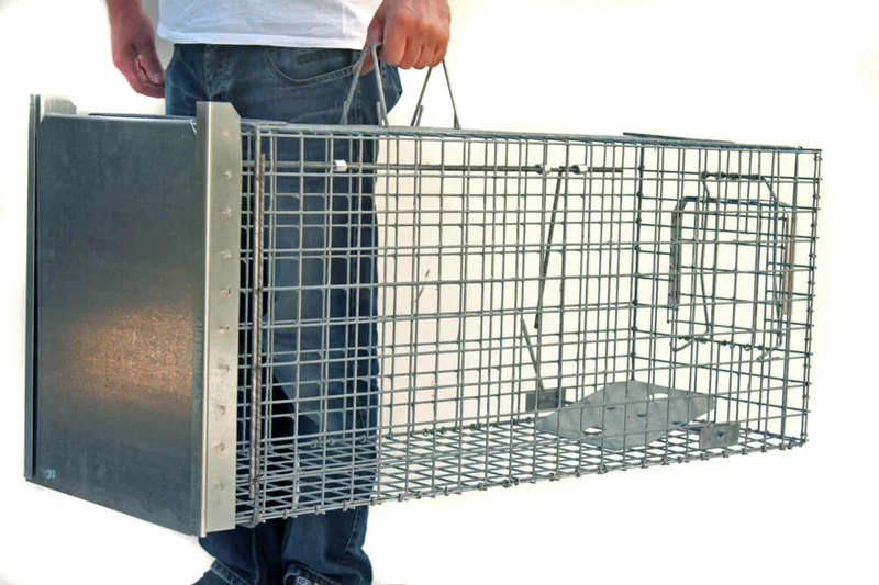 Strong - Lebendfalle Drahtfalle gegen Marder, Füchse, Katzen und Hunde