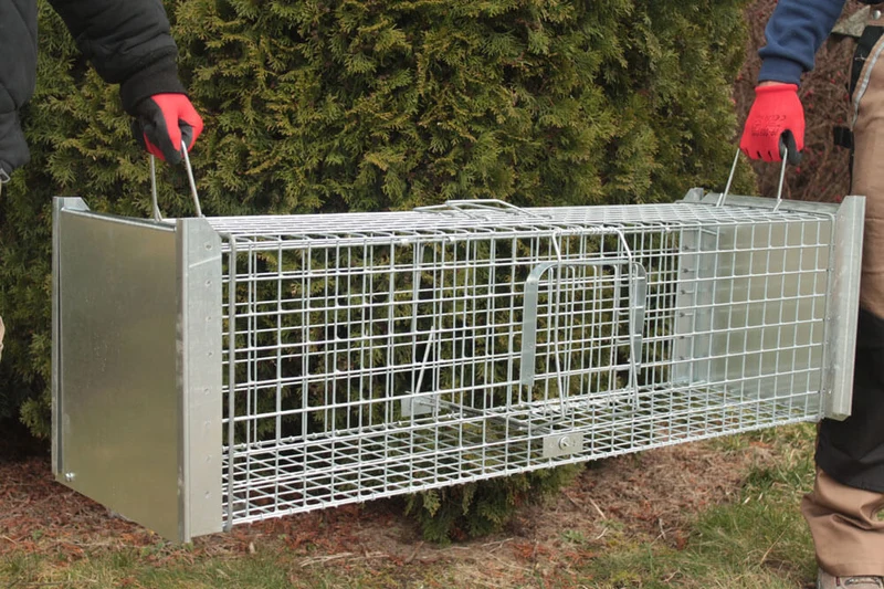 Strong - Lebendfalle Drahtfalle gegen Marder, Füchse, Katzen und Hunde