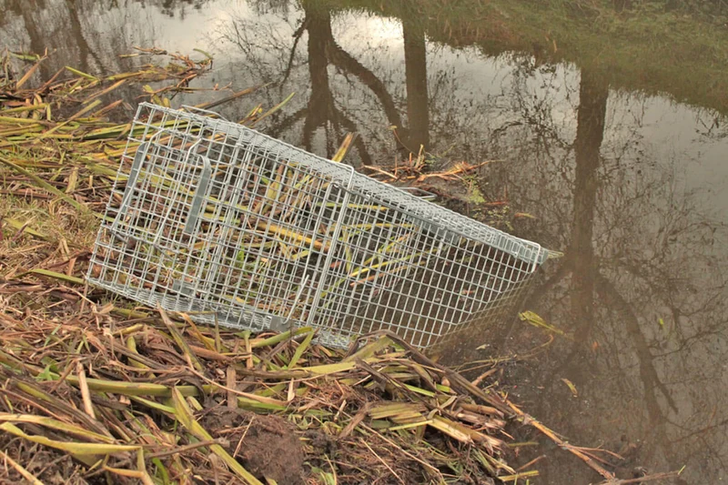 Hardy - Lebendfalle Drahtfalle gegen Marder, Füchse, Katzen und Hunde