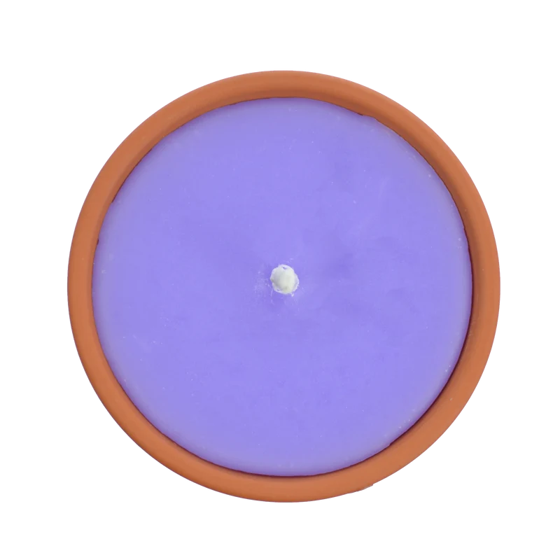 Citronnelle extérieure Violette