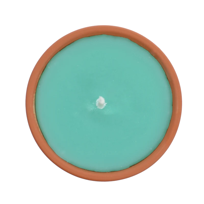 Citronnelle extérieure Verte