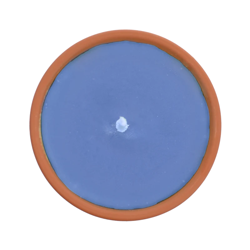 Citronnelle extérieure Bleue