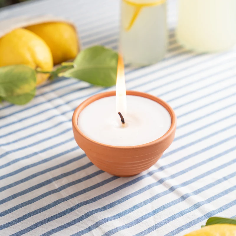 Citronnelle extérieure Blanche