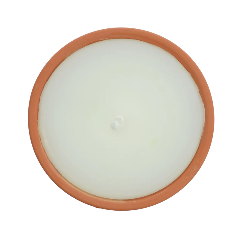 Citronnelle extérieure Blanche