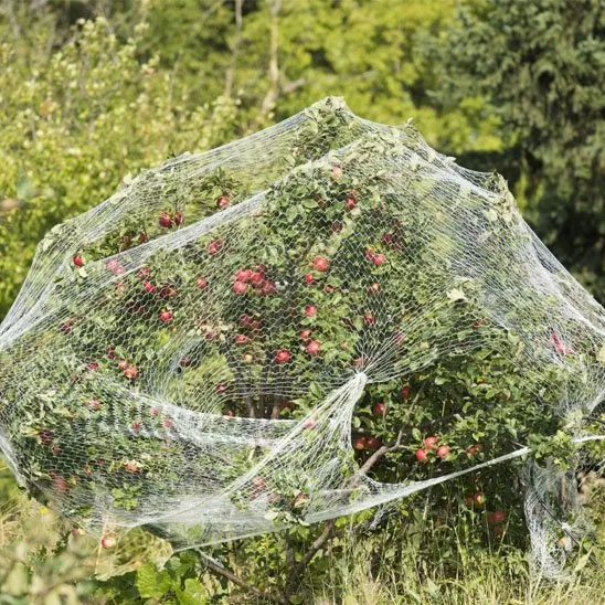 Filet anti oiseaux - AltoPiaf™ Blanc pour Arbres