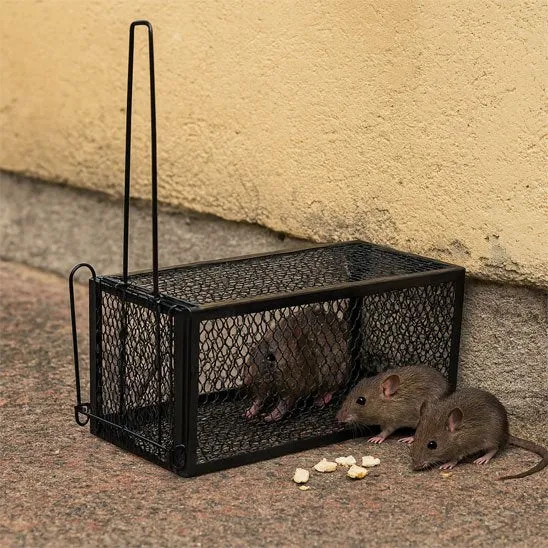 PIEGE A SOURIS - ALTOZOURI™ CAGE METALLIQUE