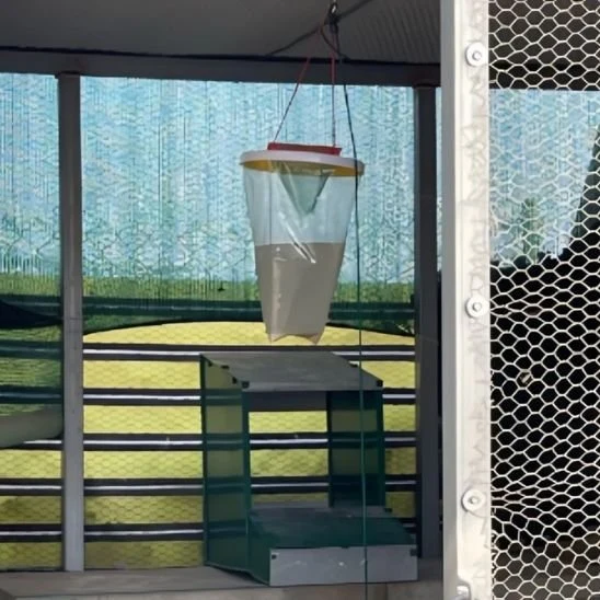 PIEGE A MOUCHE - ALTOMOUCHE™ A SUSPENDRE
