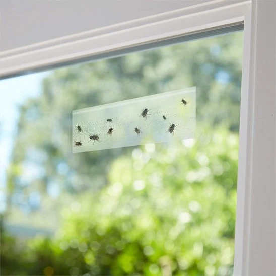 PIEGE A MOUCHE - ALTOMOUCHE™ COLLANT-TRANSPARENT