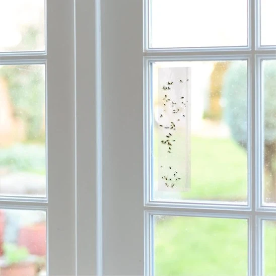 PIEGE A MOUCHE - ALTOMOUCHE™ COLLANT-TRANSPARENT
