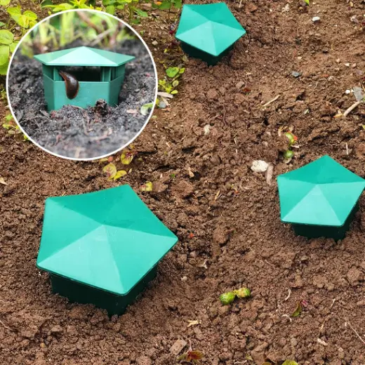 Piège à limace - AltoLimace™ - Vert