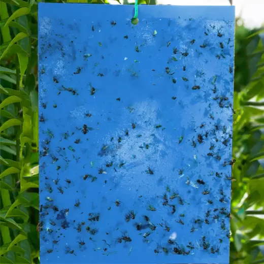 Piège à Mouches - AltoMouche™ - Feuille Bleue