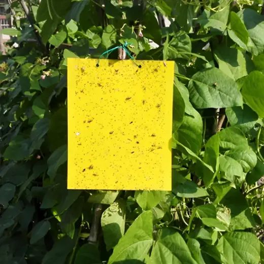 Piège à Mouches - AltoMouche™ - Feuille Jaune