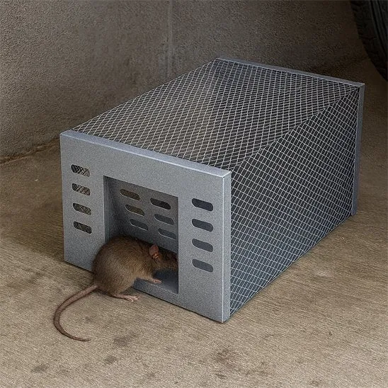 PIEGE A SOURIS - ALTOZOURI™ ACIER