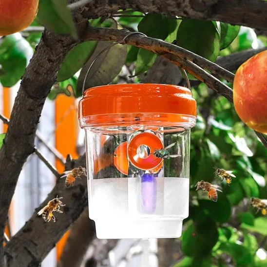 PIEGE A GUEPE - ALTOGUEPE™ - SOLAIRE ORANGE