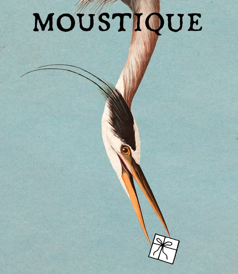 Carte-cadeau Moustique