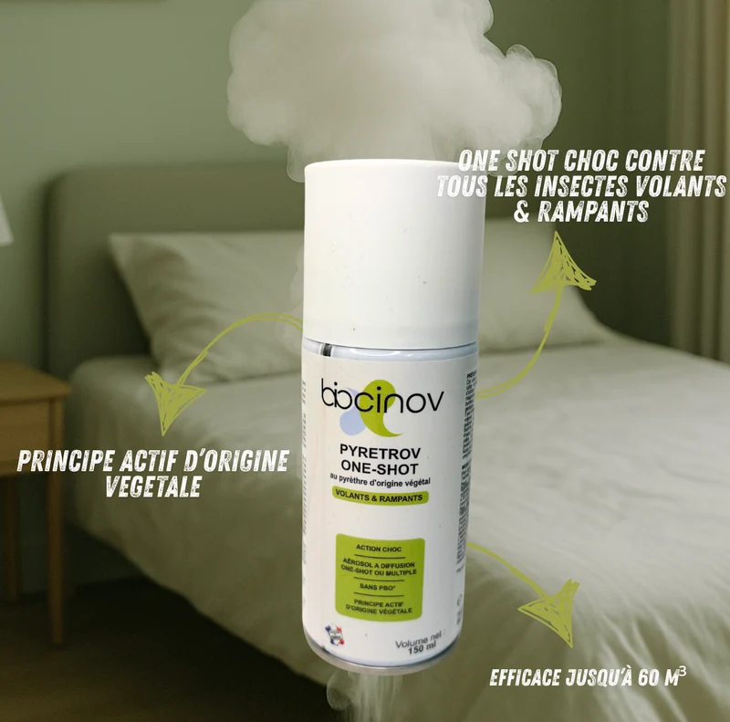 Aérosol Insecticide Naturel PYRETROV ONE-SHOT