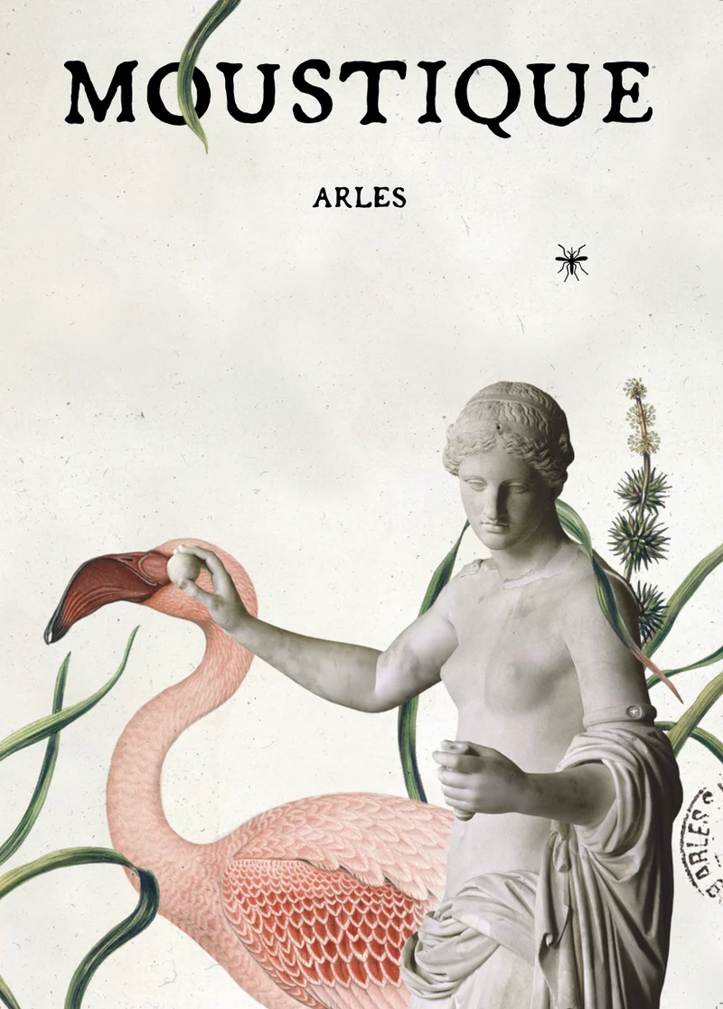 Affiche Venus