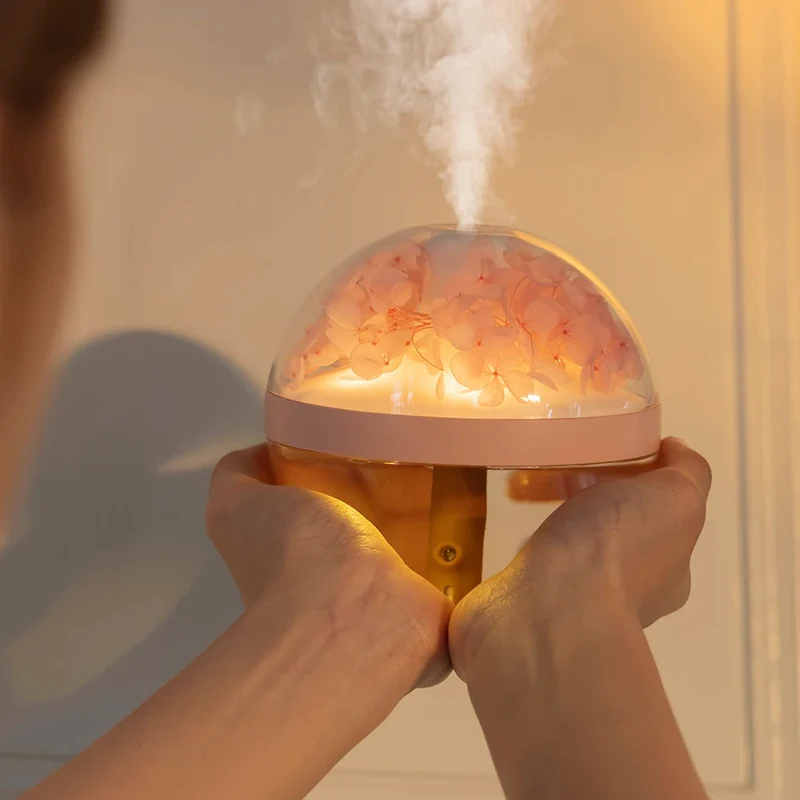 Humidificateur d'Air Rechargeable