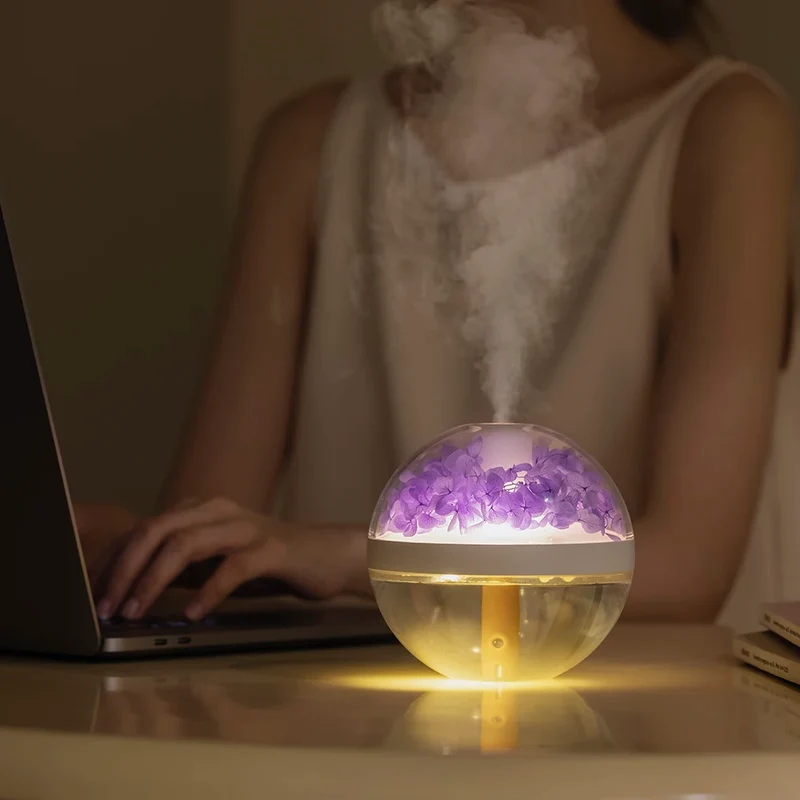 Humidificateur d'Air Rechargeable