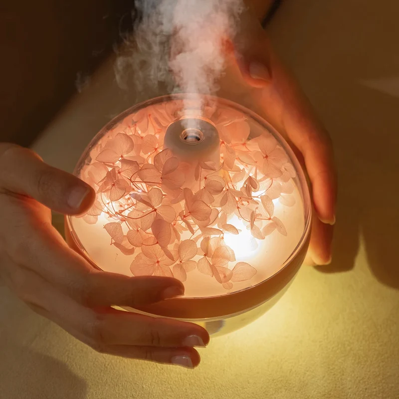 Humidificateur d'Air Rechargeable