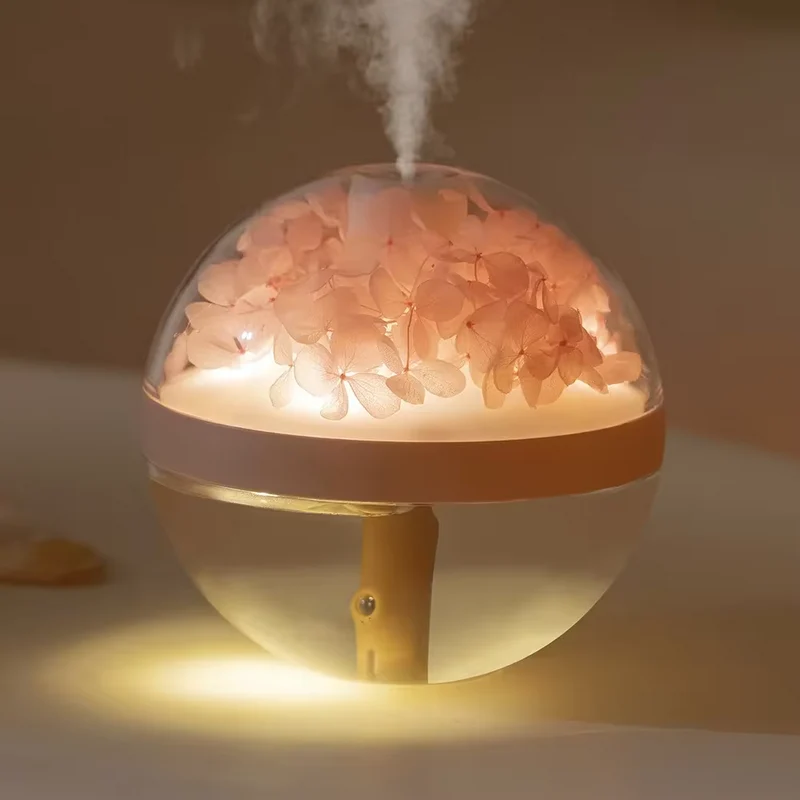 Humidificateur d'Air Rechargeable