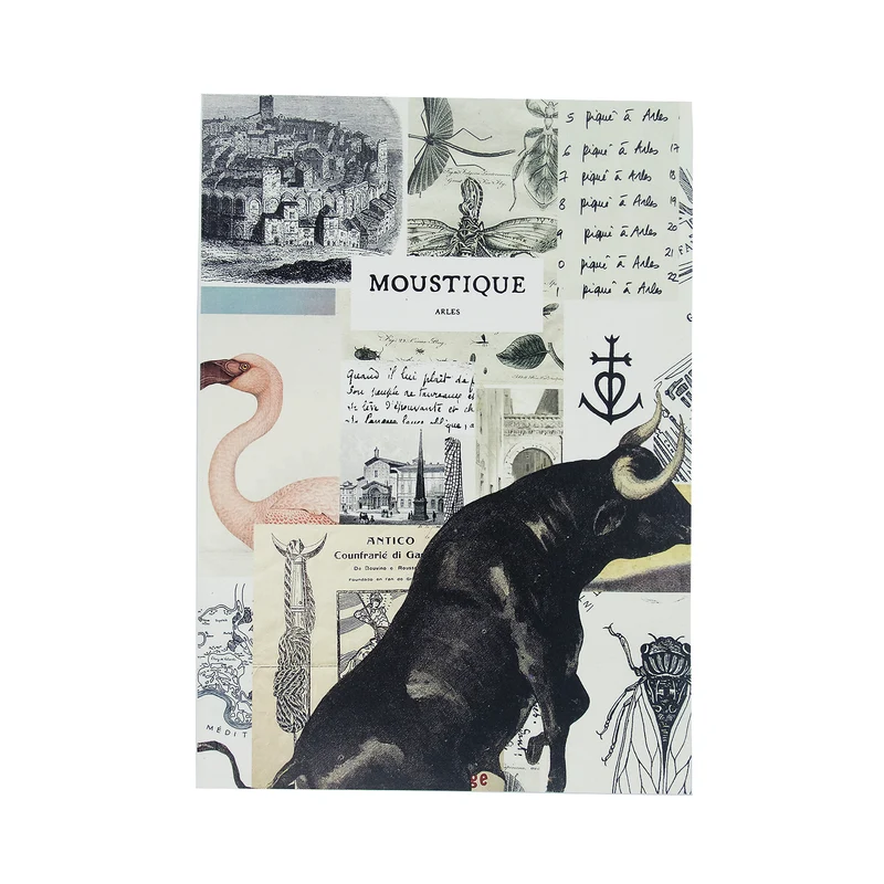 Cahier La fresque de Moustique