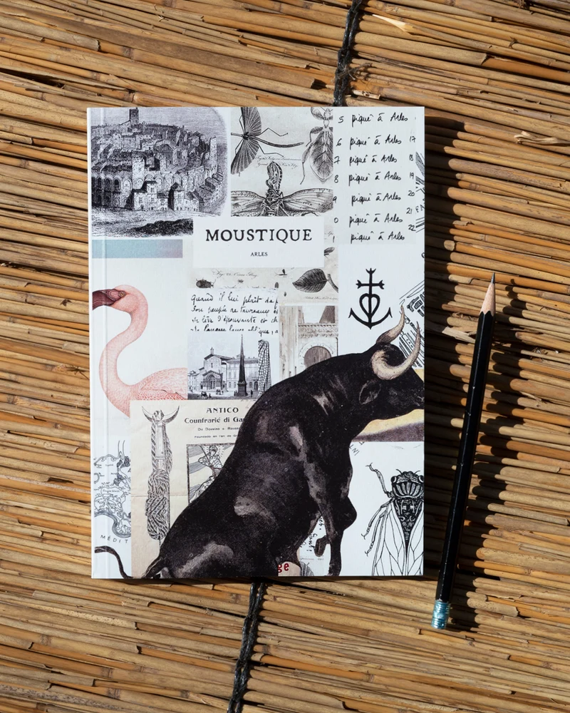 Cahier La fresque de Moustique