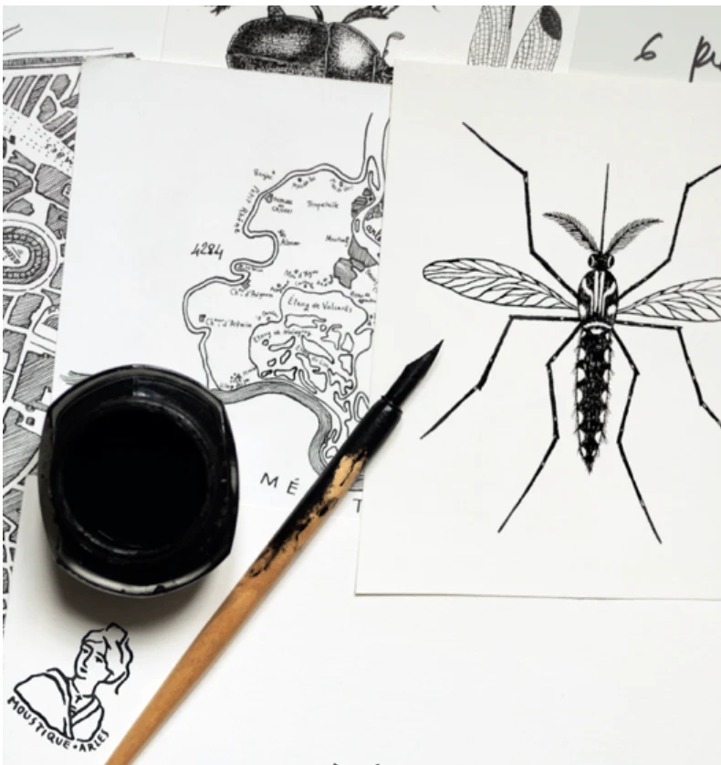 Cahier Moustique aime le dessin