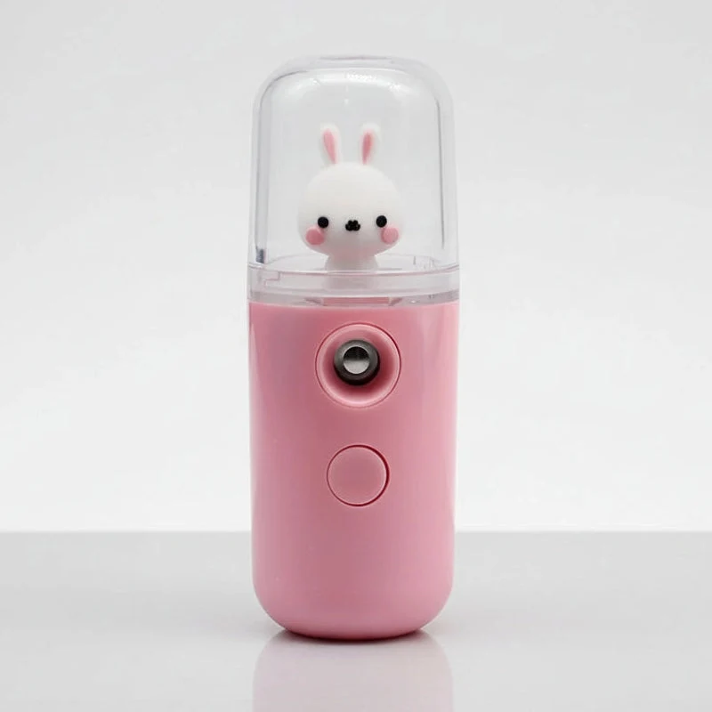 Brumisateur visage rechargeable portable