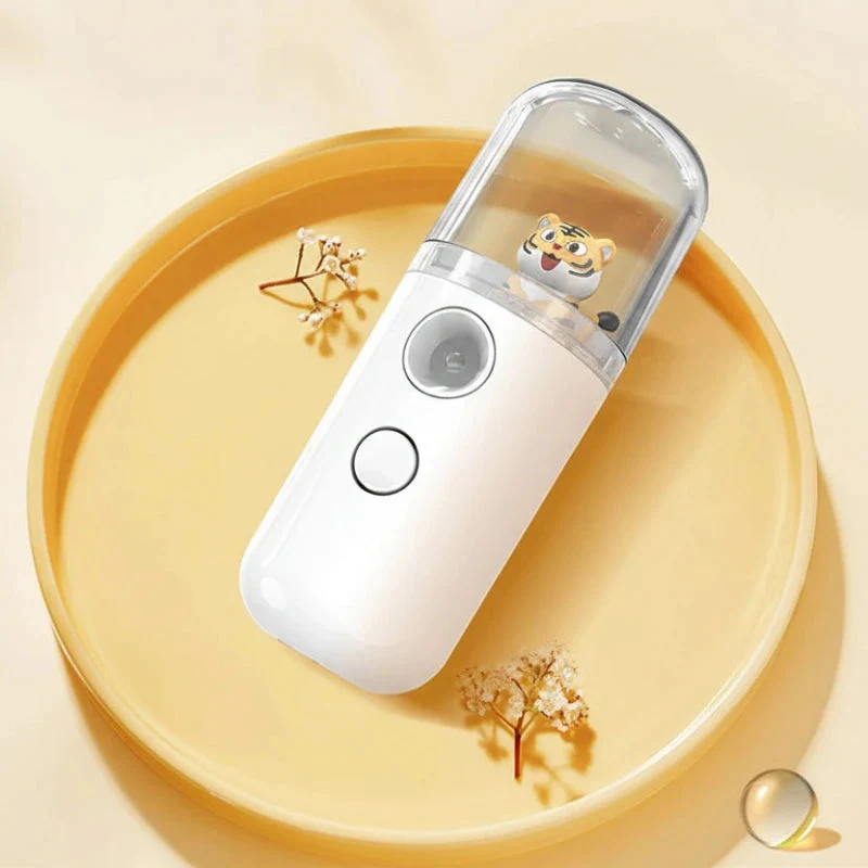 Brumisateur visage rechargeable portable