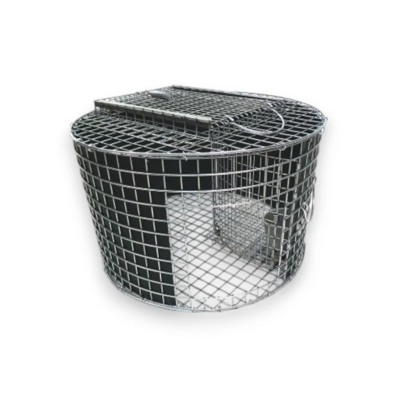 Le piège à rotonde sans cruauté (Roundhouse Trap) – structure circulaire