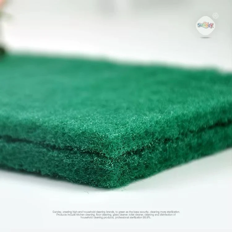 Éponge de Nettoyage Multi-Usages Premium - Fibres Haute Qualité Anti-Taches